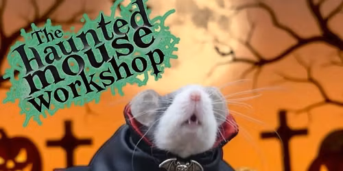 The Haunted Mouse workshop
