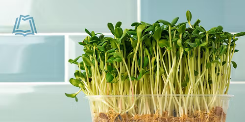 Microgreens: enjoy fresh greens any time of the year