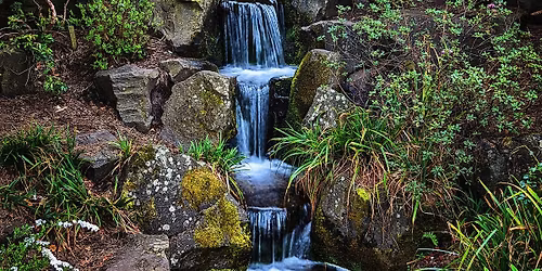 Forest Bathing at Lauriston: Finding Balance in the Late Summer