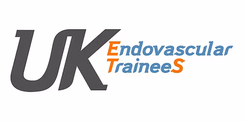 UKETS Basic Endovascular Skills December 2025