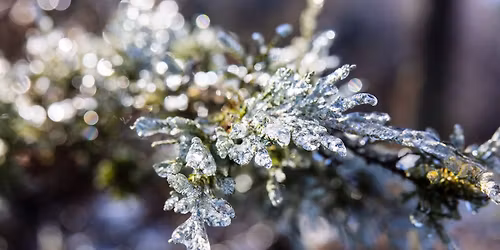 Photography with Santa! Mini session  