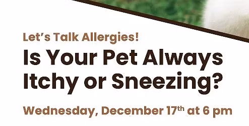 Let's Talk Allergies!