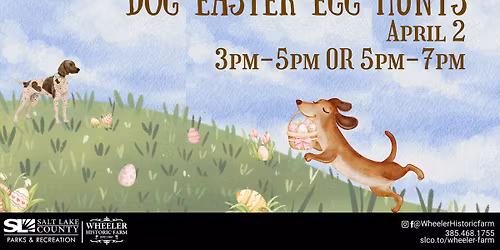 Dog Easter Egg Hunts at Wheeler Farm! \ud83d\udc30\ud83c\udf38\ud83d\udc3e