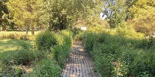 Ethnobotany: People and Plants