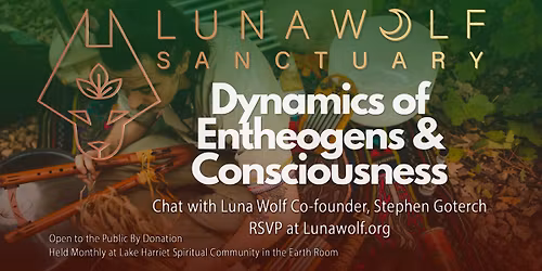 Dynamics of Entheogens and Consciousness