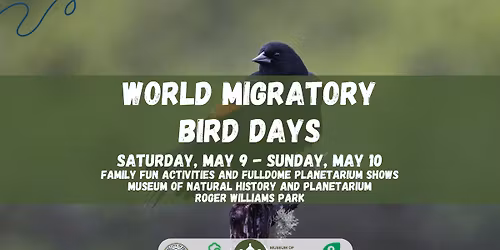 World Migratory Bird Days