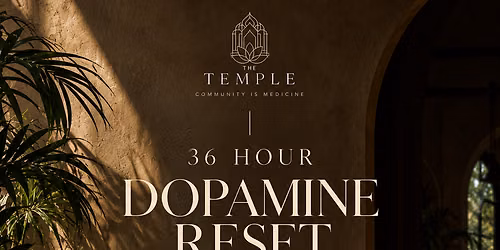 ~ Dopamine Detox ~