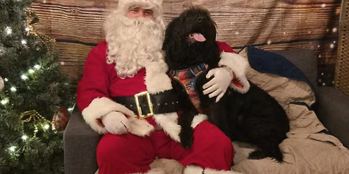 Santa Paws Photos