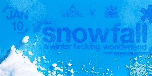 Snowfall EDM Snow Rave