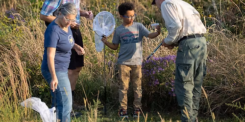 Guided Meadow Exploration at Greenfield