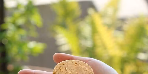 Taller presencial shampoo y acondicionador s\u00f3lido