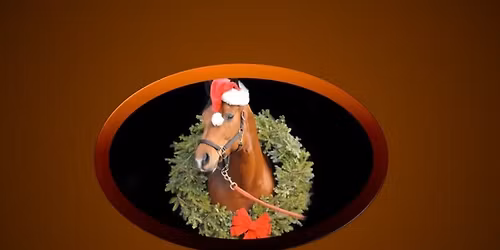 Christmas Dressage Competition