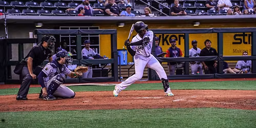 Beloit Sky Carp at Wisconsin Timber Rattlers