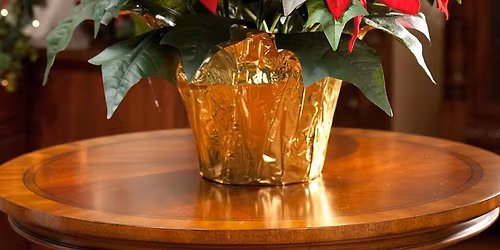 Horti Christmas Social