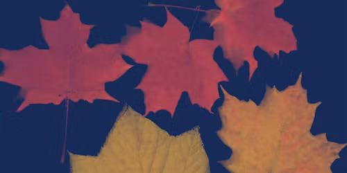 The Last Miller\/Hidden Drive\/The Glow