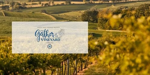 Gather at the Vineyard