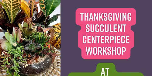 Thanksgiving Succulent Centerpiece Workshop