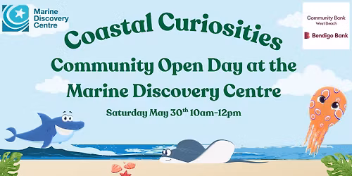 Coastal Curiosities - Community Open Day 