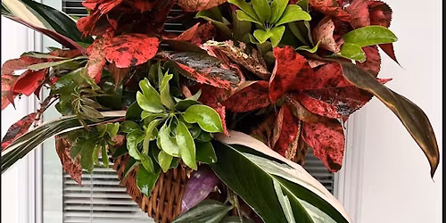Holiday Backyard Florist