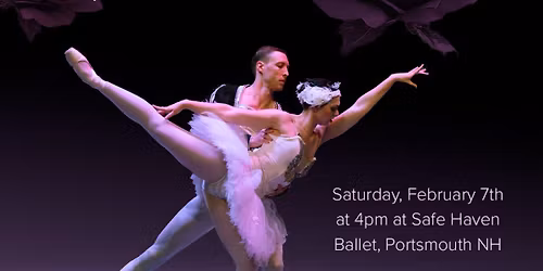 Safe Haven Ballet: Don Quixote