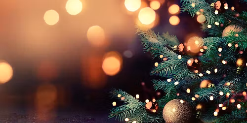 Avocet Court's Christmas Lights Switch On