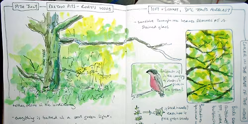 Nature Journaling with Sharon - 24th November PP