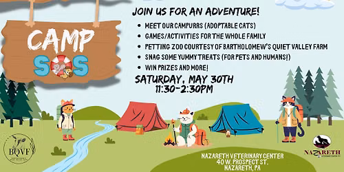 Camp SOS at Nazareth Veterinary Center