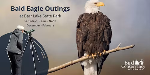 Bald Eagle Outings at Barr Lake