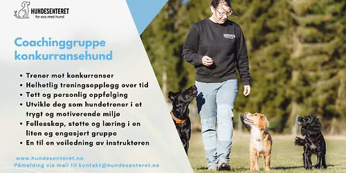 Coachinggruppe konkurransehund (1 ledig plass)