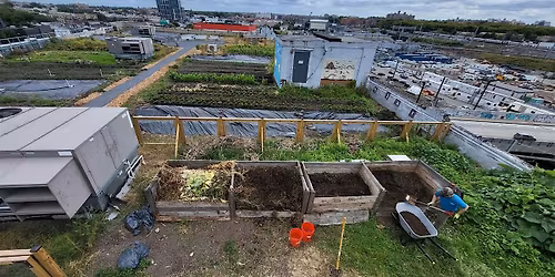 Compost Volunteer Event at SkyFarm LIC