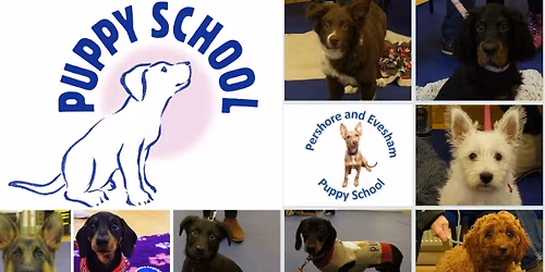 Puppy School at Wyre Piddle Village Hall - 1st June - 6th July, 6:30-7:30pm