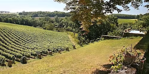 GUIDED WINE TASTING SUD-OUEST