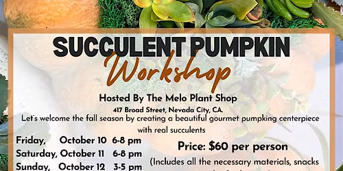 Fall Succulent Pumpkin Workshop
