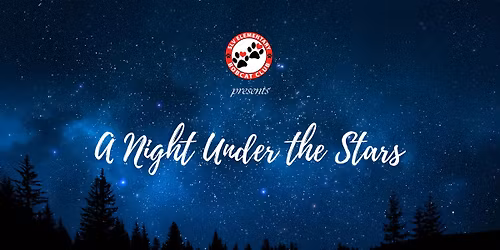 Save The Date: Bobcat Bash (Spring Auction) - A Night Under the Stars
