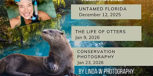 The Life of Otters: A Visual Journey with Linda Wilinski