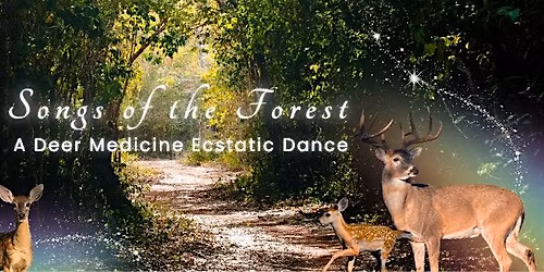 Songs of the Forest - A Deer Medicine Ecstatic Dance