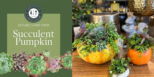 Succulent Pumpkin Workshop