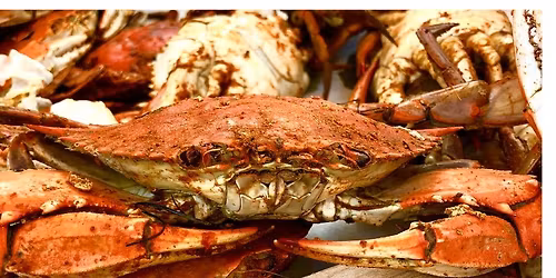 Chess Fest and Crab N Go Crab Feast