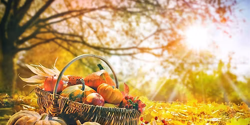 Harvesting Connections