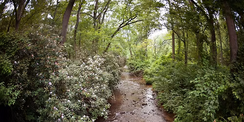 Streams & Creeks of the Arboretum