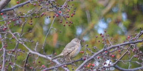 Field Trip - Northern Door County