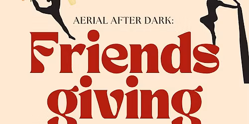 Aerial after Dark: Friendsgiving