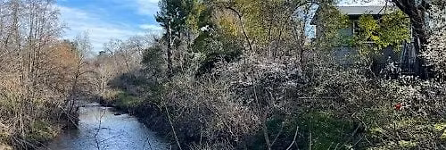 Royer\/ Saugstad Creek Cleanup Event -- Nov. 15, 2025