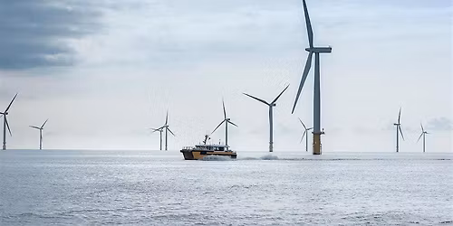 Carbon Literacy Action Day Celebration