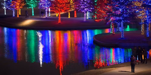 Christmas Lights Party Bus