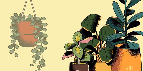 Szoban\u00f6v\u00e9ny csere-bere