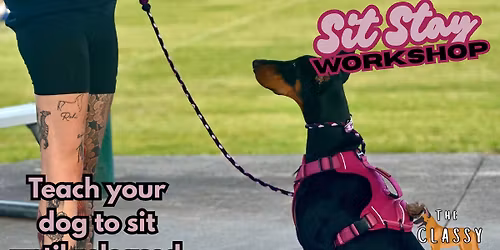 Sit Stay Workshop