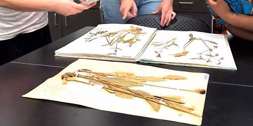 UARK Herbarium Research Symposium