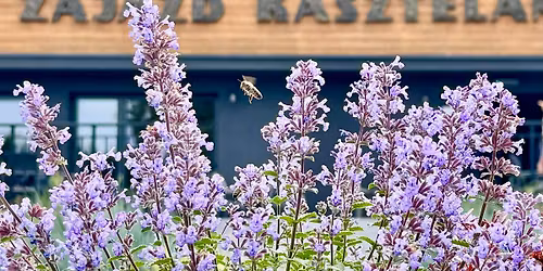 Sylwester 2025\/2026