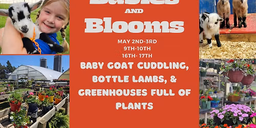 Babies and Blooms
